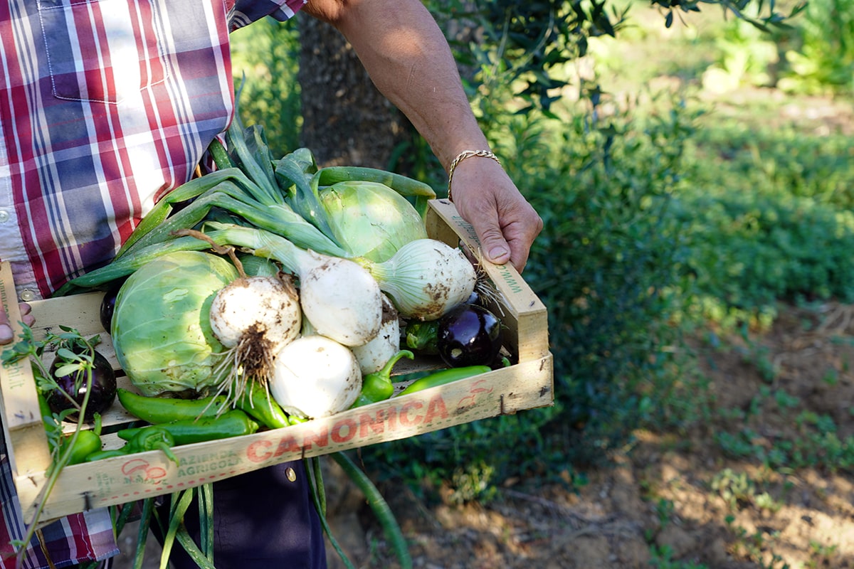 verdure ristorante lecce