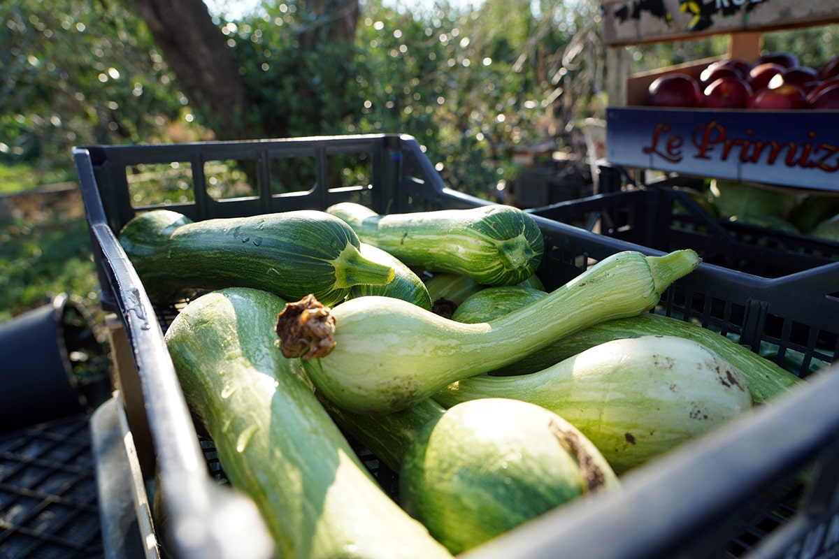 zucchine ristorante lecce