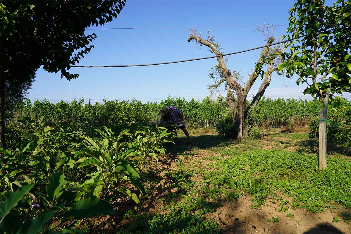 Km0-ne-La-Vecchia-Osteria